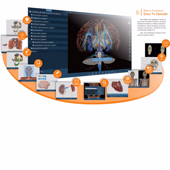 Tavolo anatomico virtuale per lezioni di anatomia 3D con touch screen